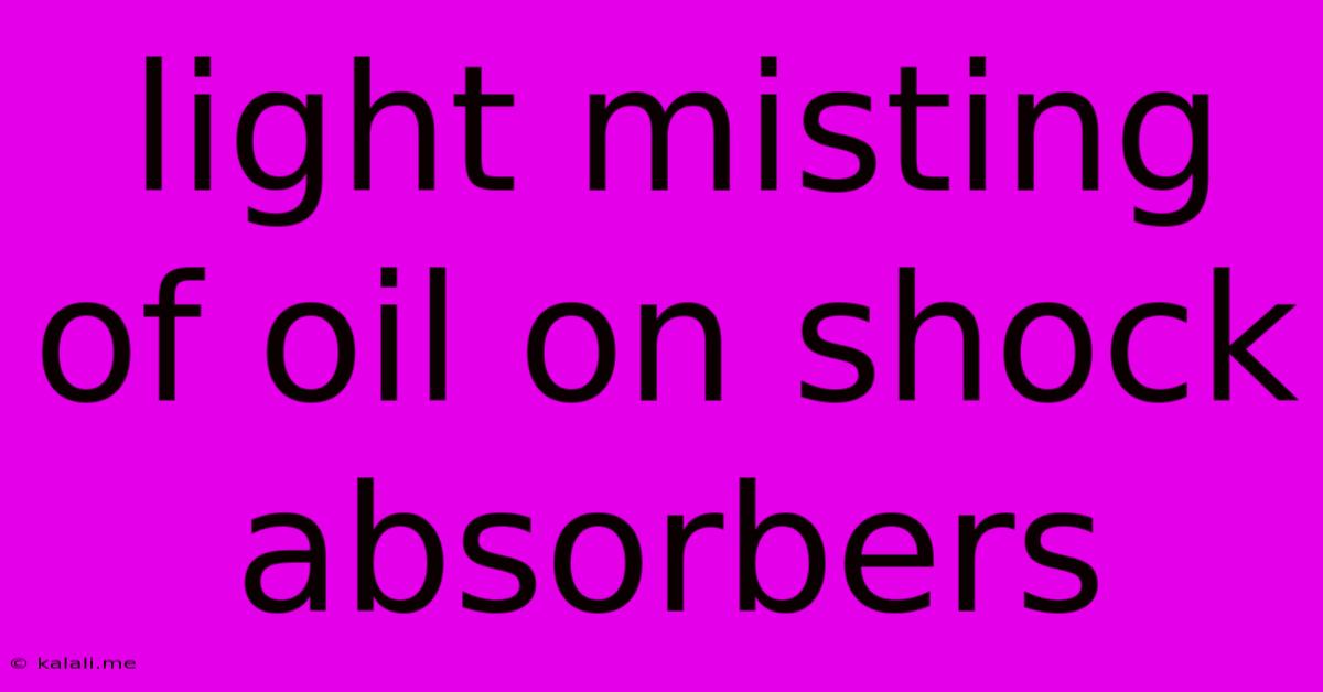 Light Misting Of Oil On Shock Absorbers