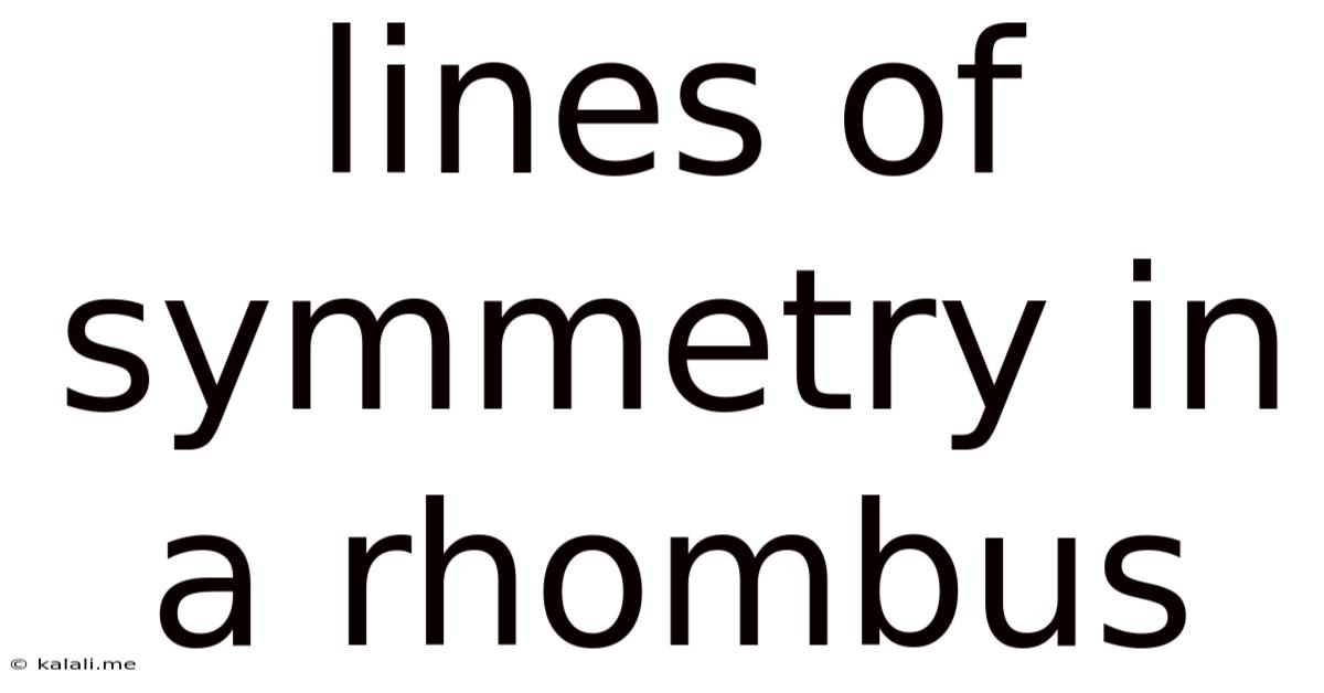 Lines Of Symmetry In A Rhombus