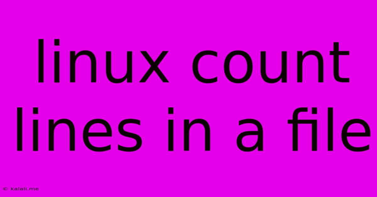 Linux Count Lines In A File