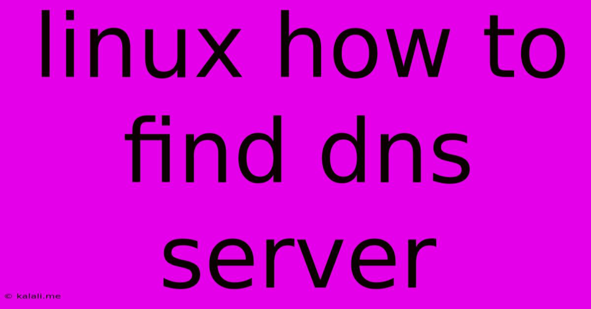 Linux How To Find Dns Server