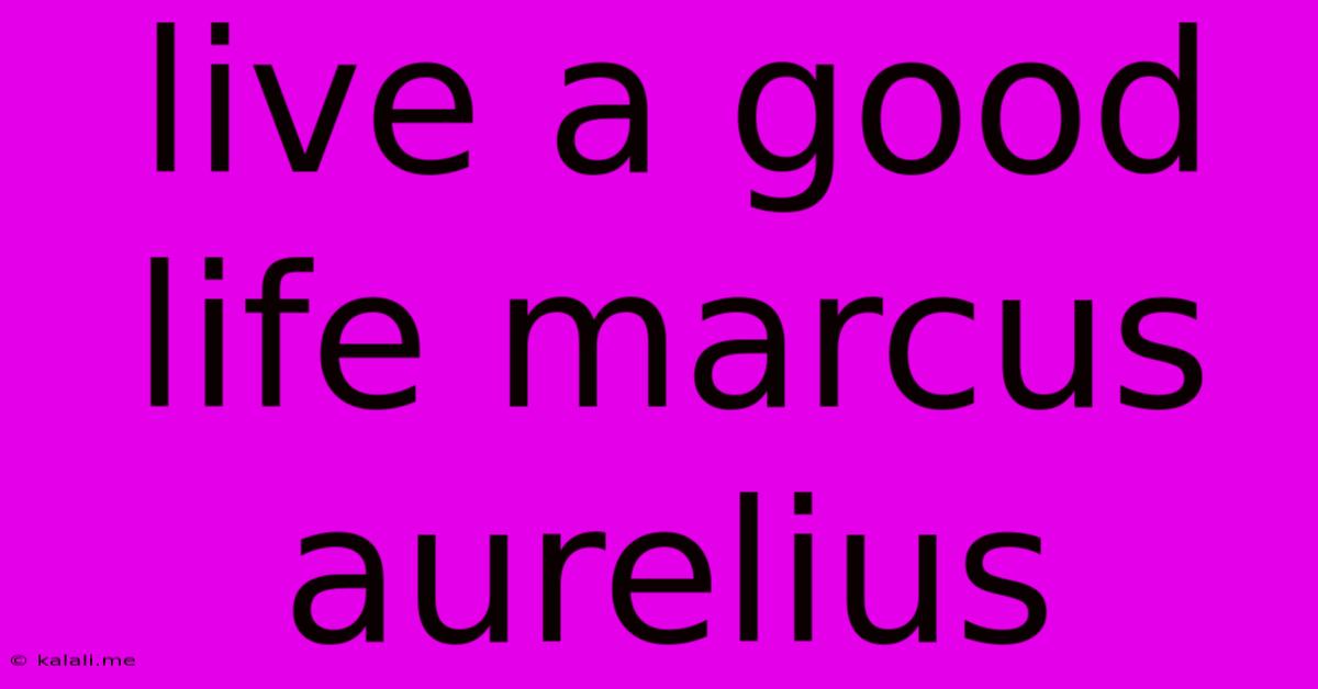 Live A Good Life Marcus Aurelius