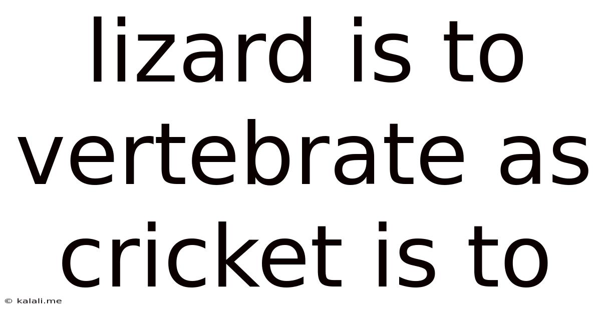 Lizard Is To Vertebrate As Cricket Is To