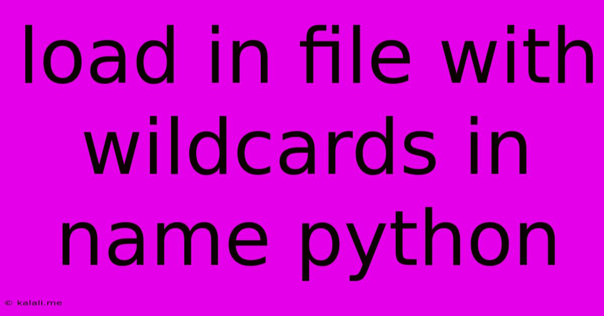 Load In File With Wildcards In Name Python