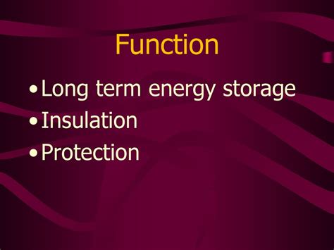 Long Term Energy Storage Insulation Found In Cell Membranes