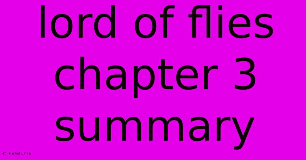 Lord Of Flies Chapter 3 Summary