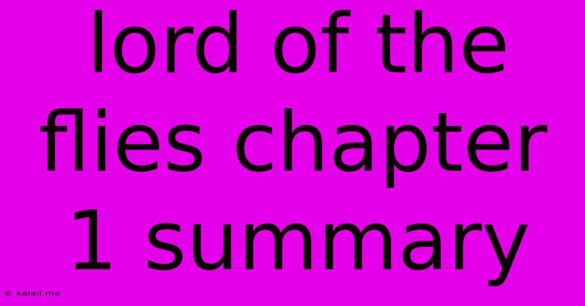 Lord Of The Flies Chapter 1 Summary