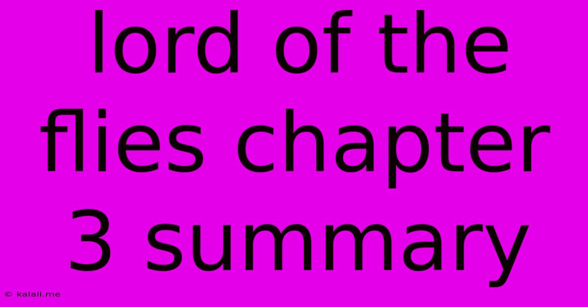 Lord Of The Flies Chapter 3 Summary
