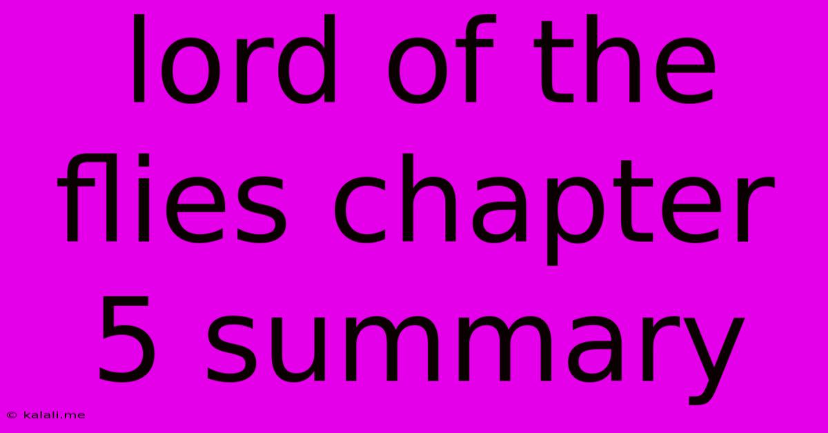 Lord Of The Flies Chapter 5 Summary