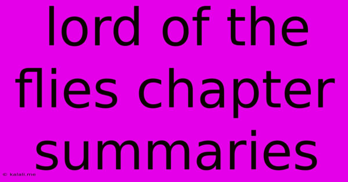 Lord Of The Flies Chapter Summaries
