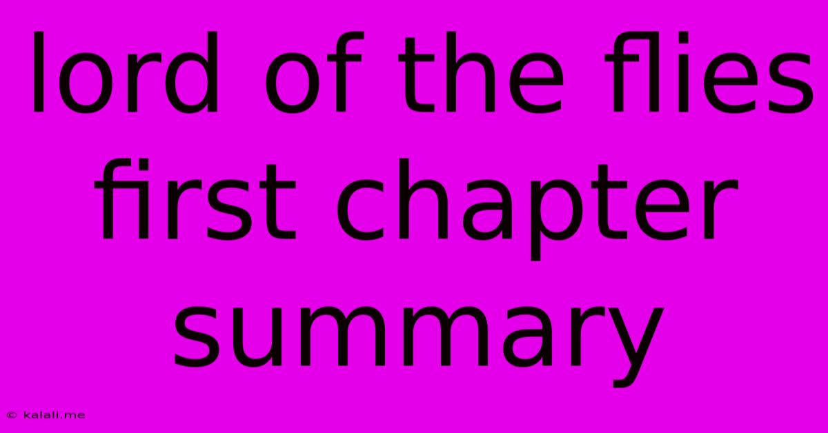 Lord Of The Flies First Chapter Summary