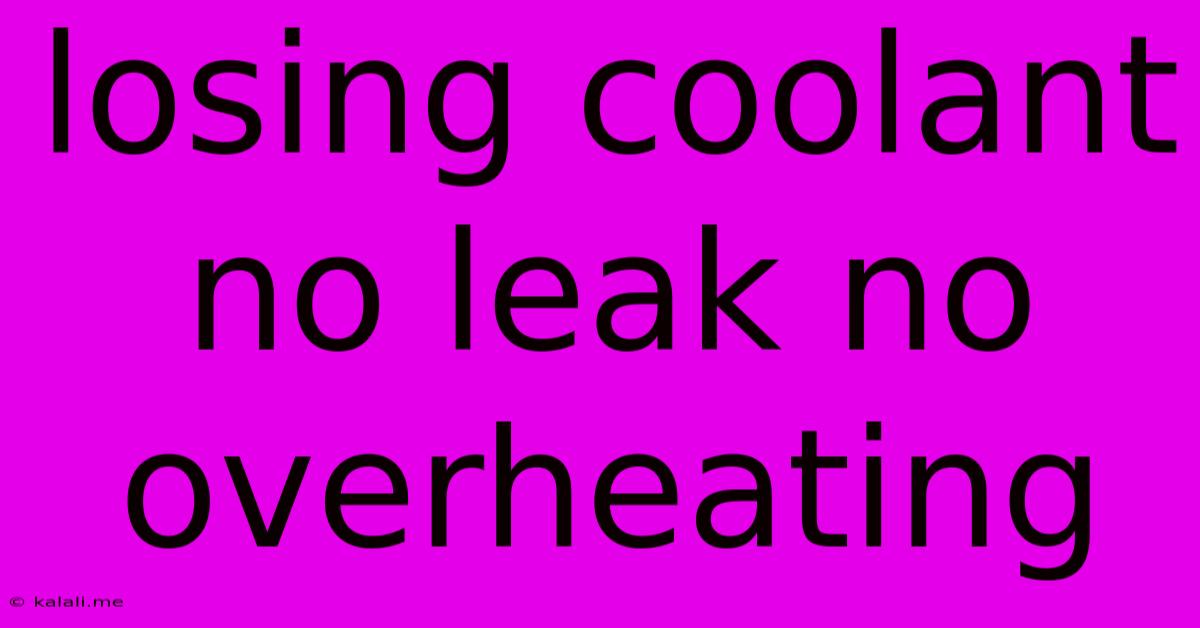 Losing Coolant No Leak No Overheating