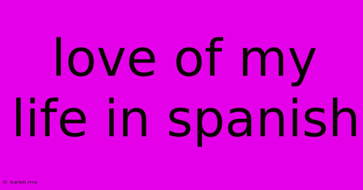 Love Of My Life In Spanish