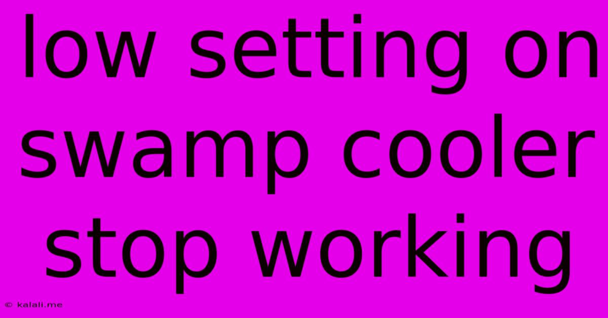 Low Setting On Swamp Cooler Stop Working