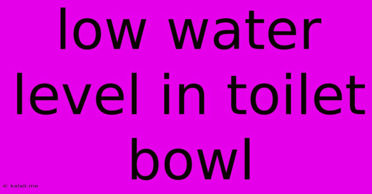 Low Water Level In Toilet Bowl