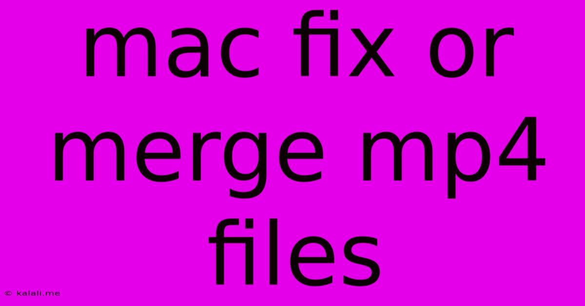 Mac Fix Or Merge Mp4 Files