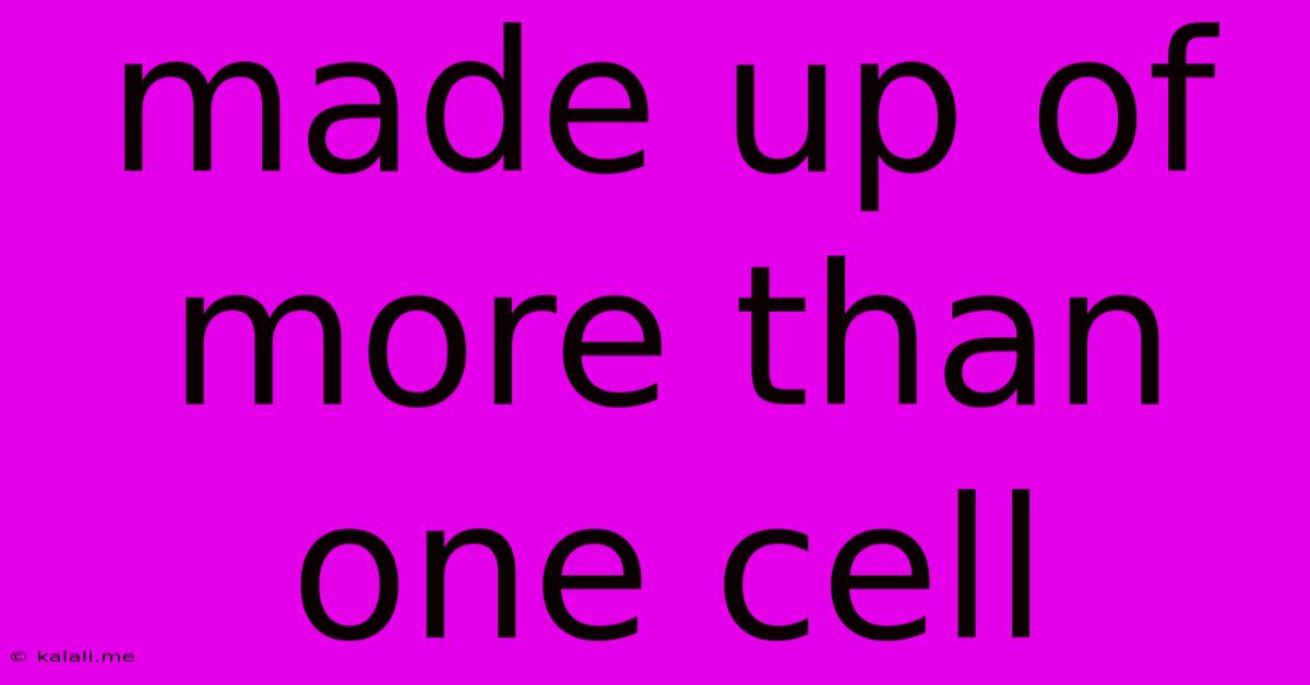 Made Up Of More Than One Cell