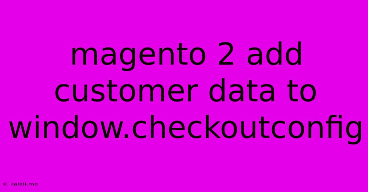 Magento 2 Add Customer Data To Window.checkoutconfig