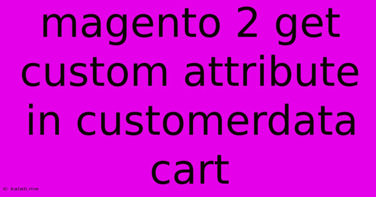 Magento 2 Get Custom Attribute In Customerdata Cart