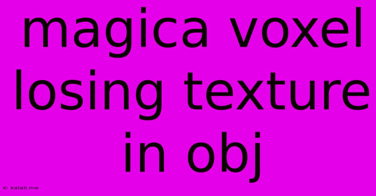 Magica Voxel Losing Texture In Obj