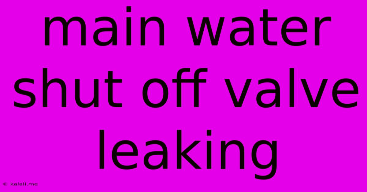 Main Water Shut Off Valve Leaking