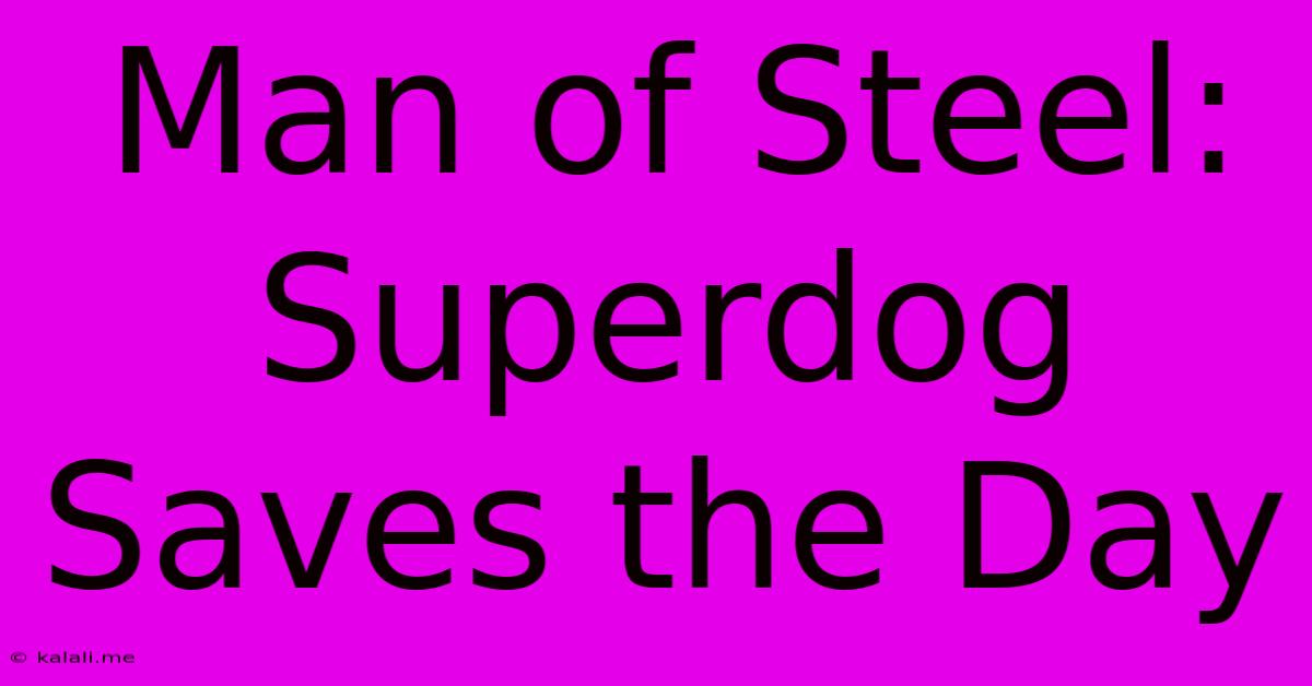 Man Of Steel: Superdog Saves The Day