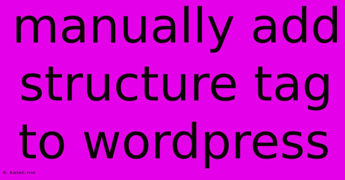 Manually Add Structure Tag To Wordpress