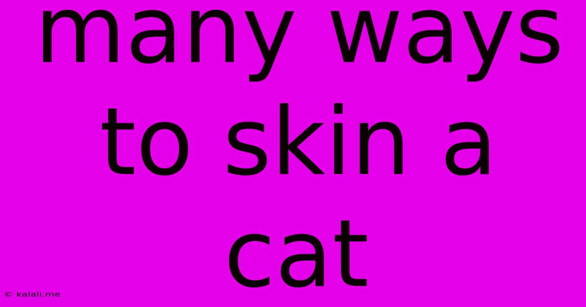 Many Ways To Skin A Cat