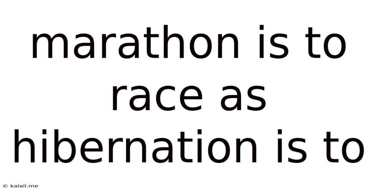 Marathon Is To Race As Hibernation Is To