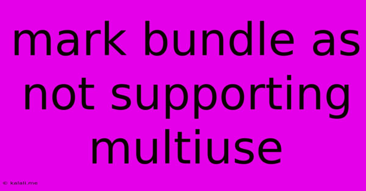 Mark Bundle As Not Supporting Multiuse