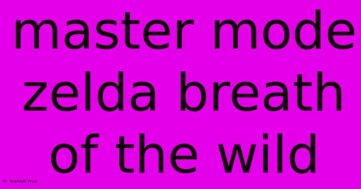 Master Mode Zelda Breath Of The Wild