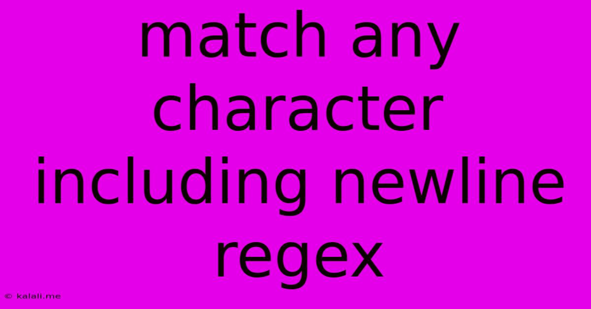 Match Any Character Including Newline Regex