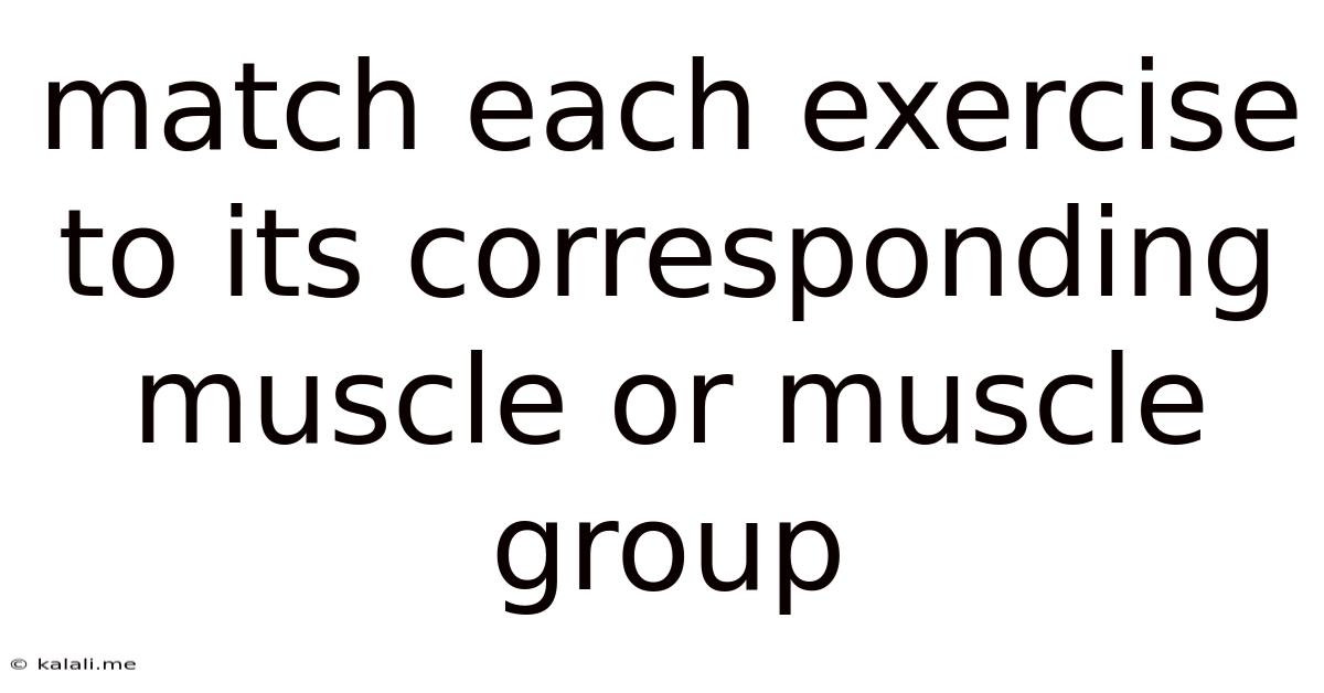 Match Each Exercise To Its Corresponding Muscle Or Muscle Group