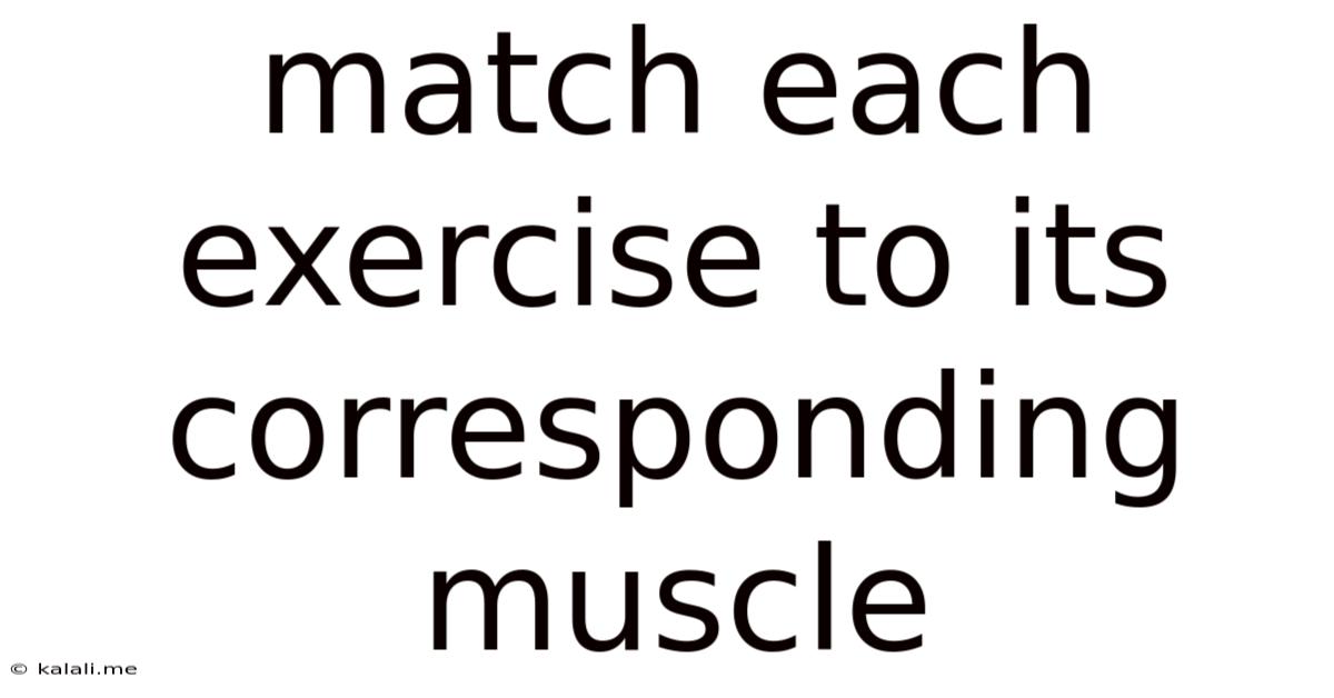Match Each Exercise To Its Corresponding Muscle