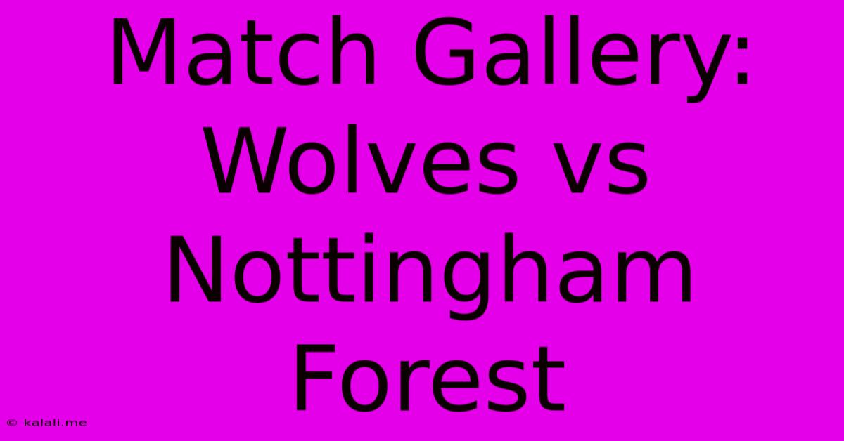 Match Gallery: Wolves Vs Nottingham Forest