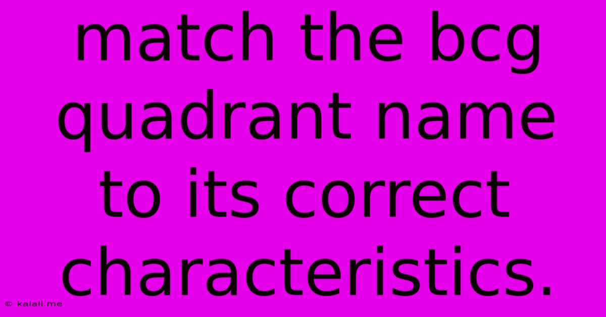 Match The Bcg Quadrant Name To Its Correct Characteristics.
