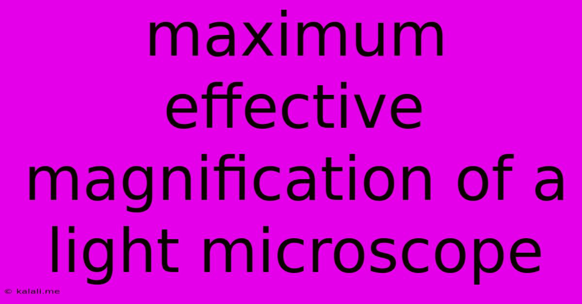 Maximum Effective Magnification Of A Light Microscope