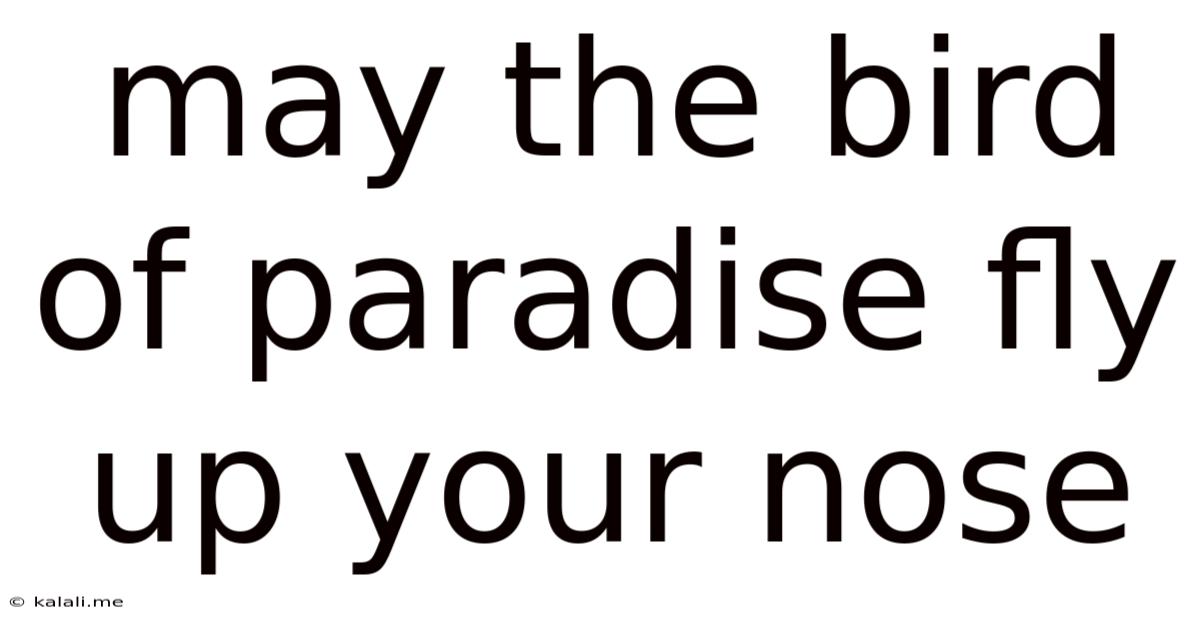 May The Bird Of Paradise Fly Up Your Nose