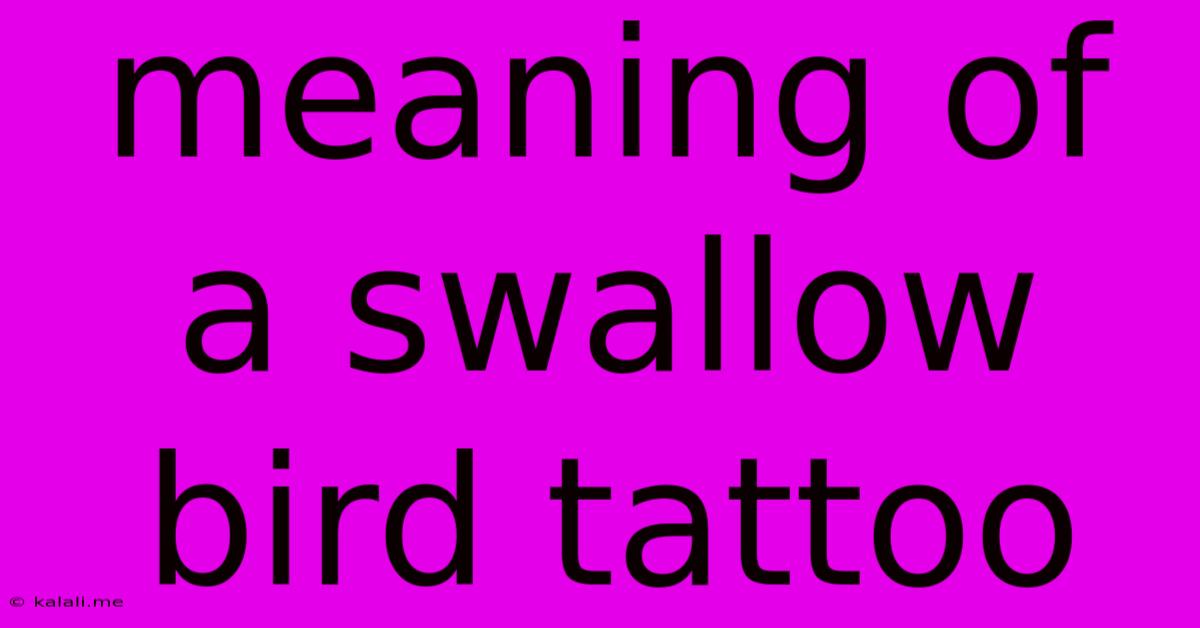 Meaning Of A Swallow Bird Tattoo