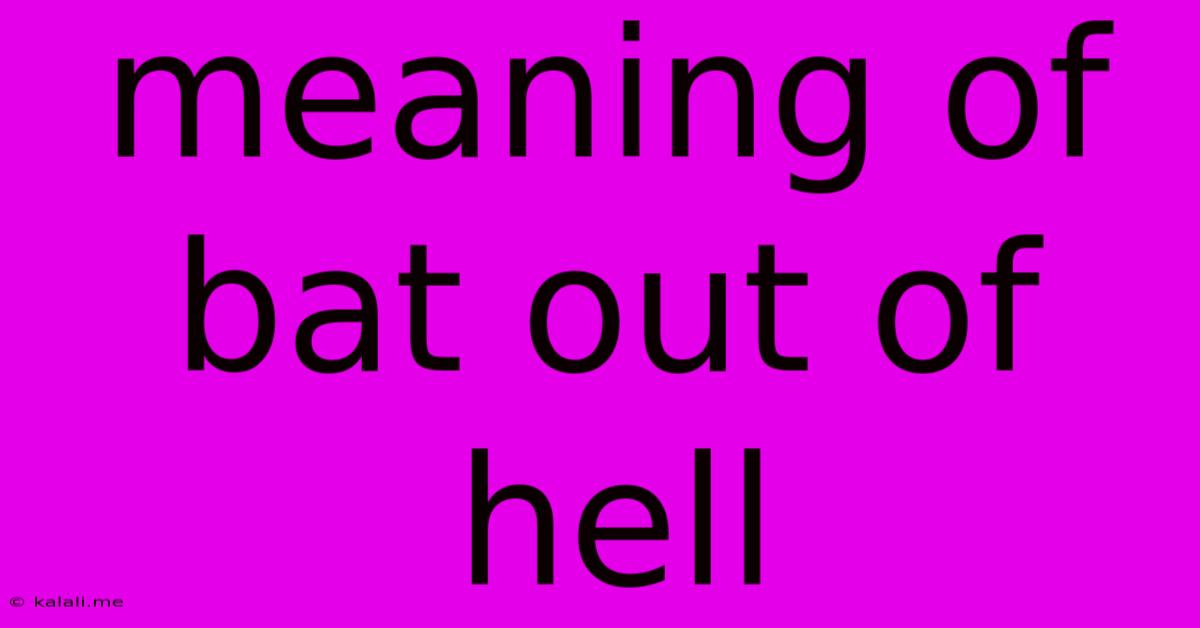 Meaning Of Bat Out Of Hell