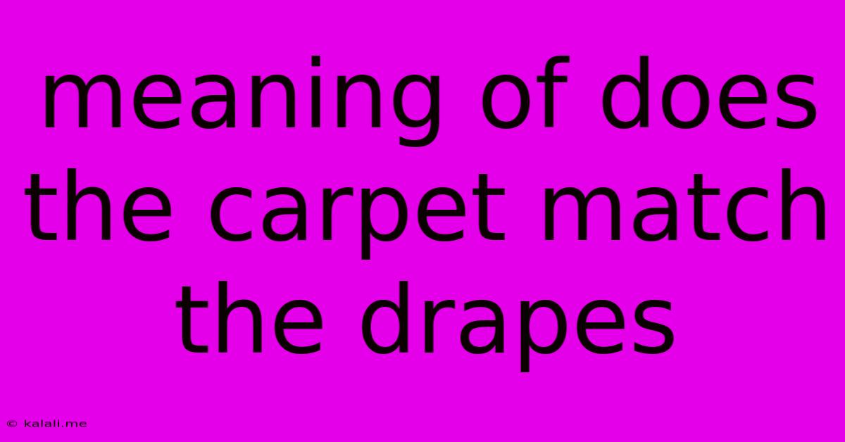 Meaning Of Does The Carpet Match The Drapes