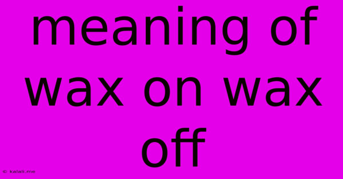 Meaning Of Wax On Wax Off