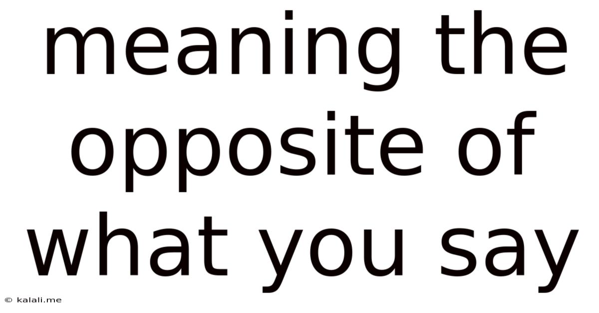Meaning The Opposite Of What You Say