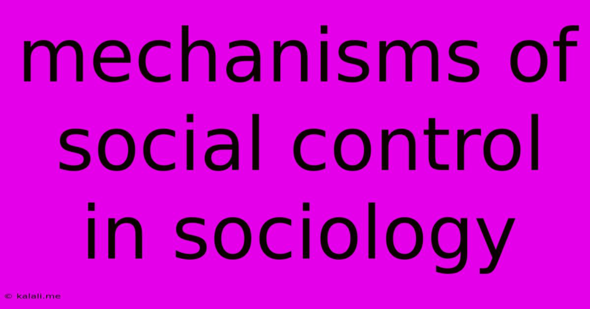 Mechanisms Of Social Control In Sociology