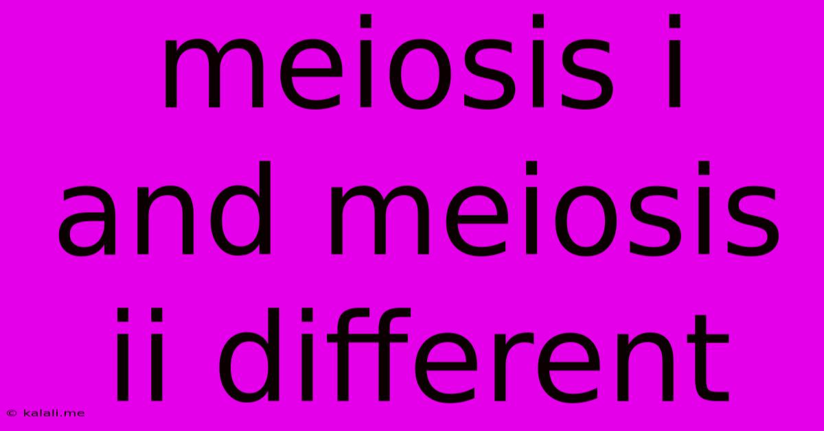 Meiosis I And Meiosis Ii Different