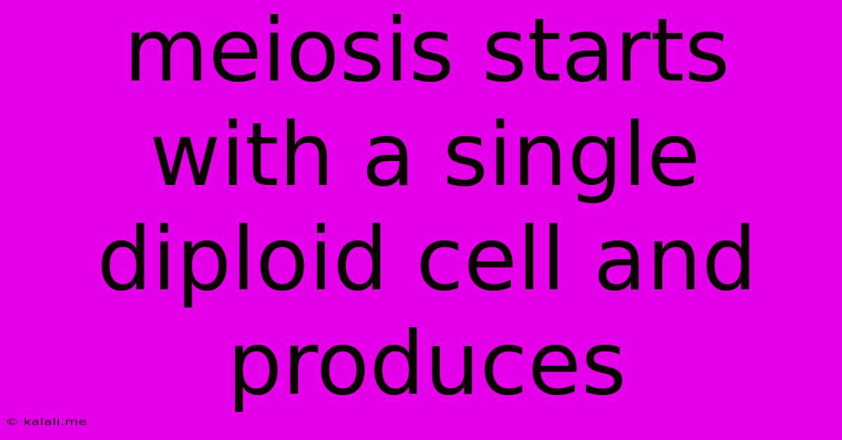 Meiosis Starts With A Single Diploid Cell And Produces