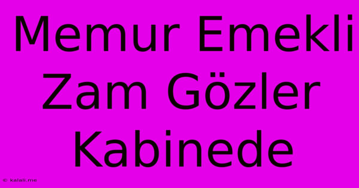 Memur Emekli Zam Gözler Kabinede