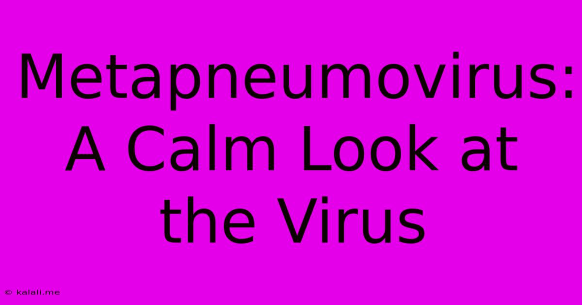 Metapneumovirus: A Calm Look At The Virus