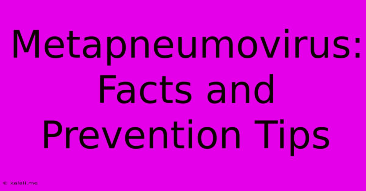 Metapneumovirus:  Facts And Prevention Tips