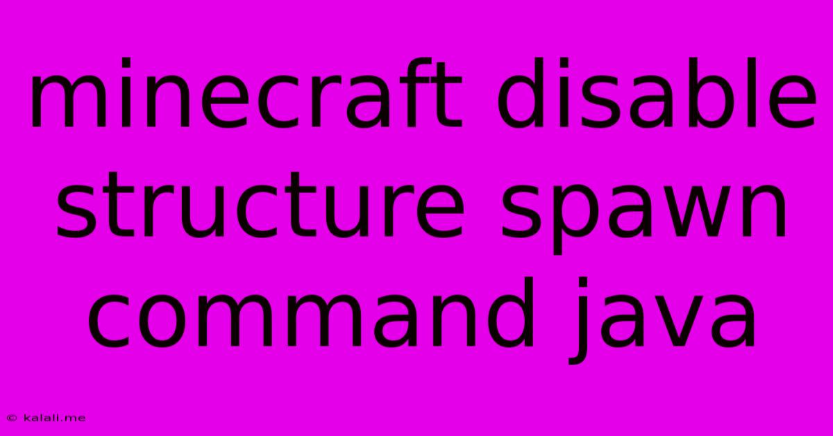 Minecraft Disable Structure Spawn Command Java