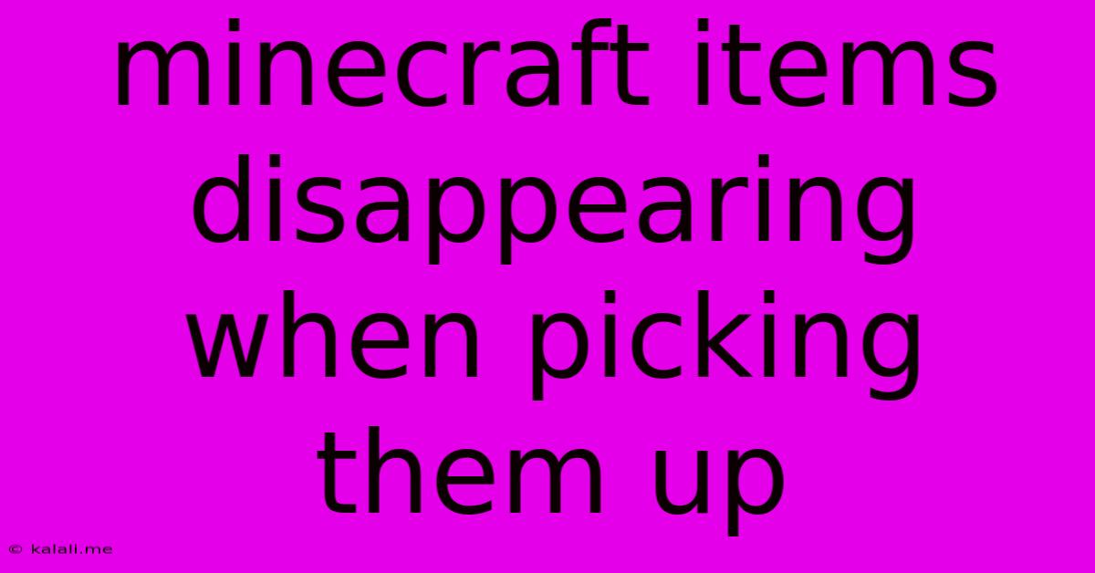 Minecraft Items Disappearing When Picking Them Up
